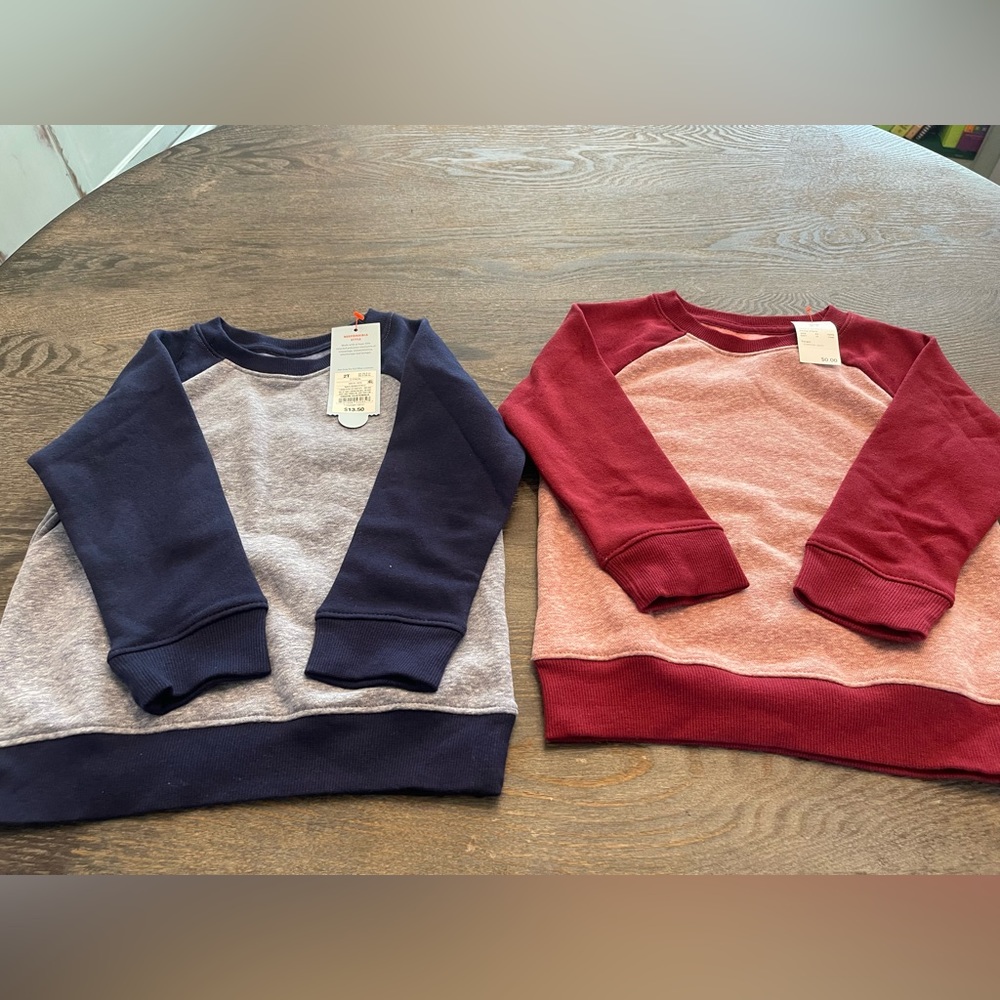 Sweatshirts set of 2